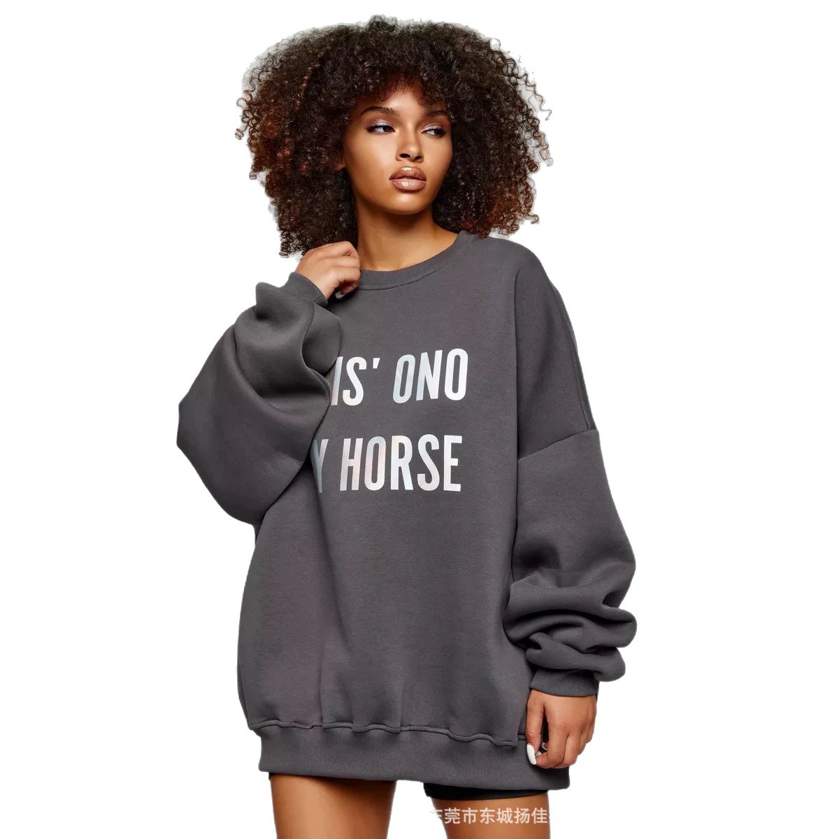 Soft Fleece Y2K Streetwear Wom - đánh giá và giá Oversized Crewneck Fleece